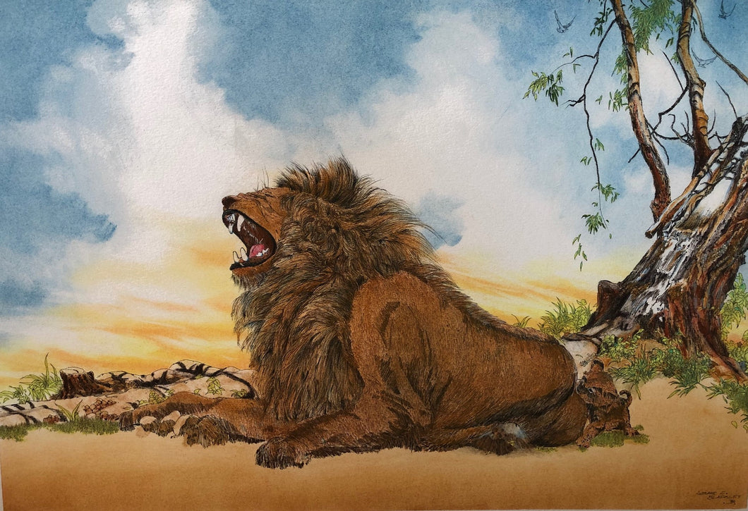 Lion and Cub