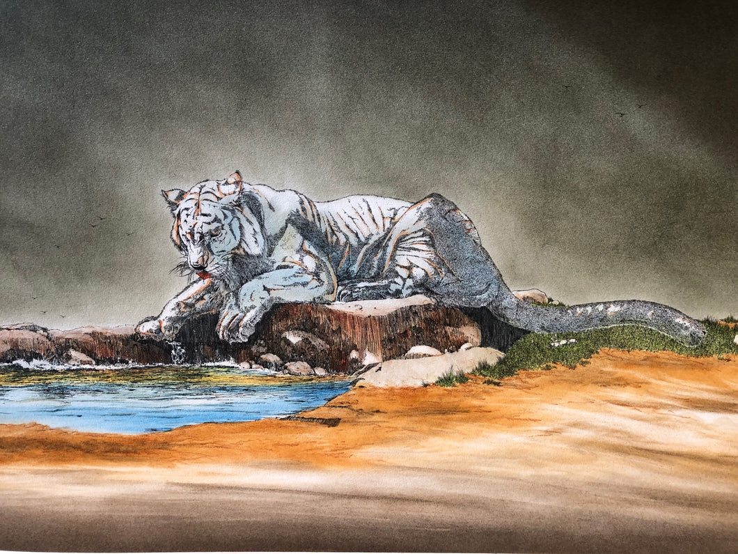 Tiger by Water