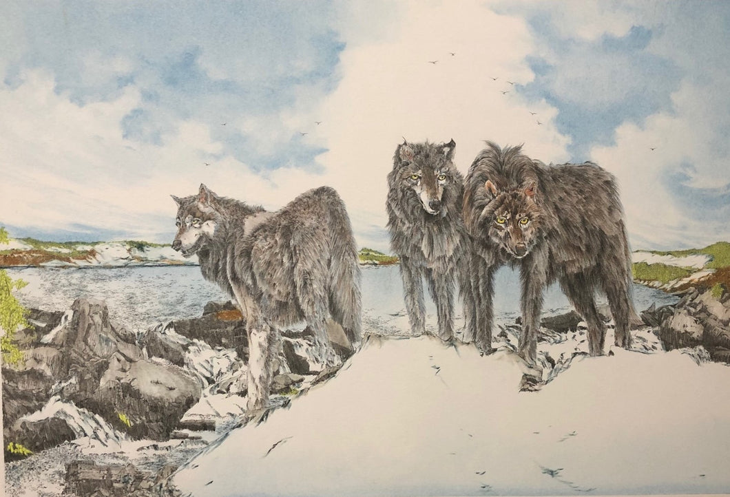 Wolf Pack